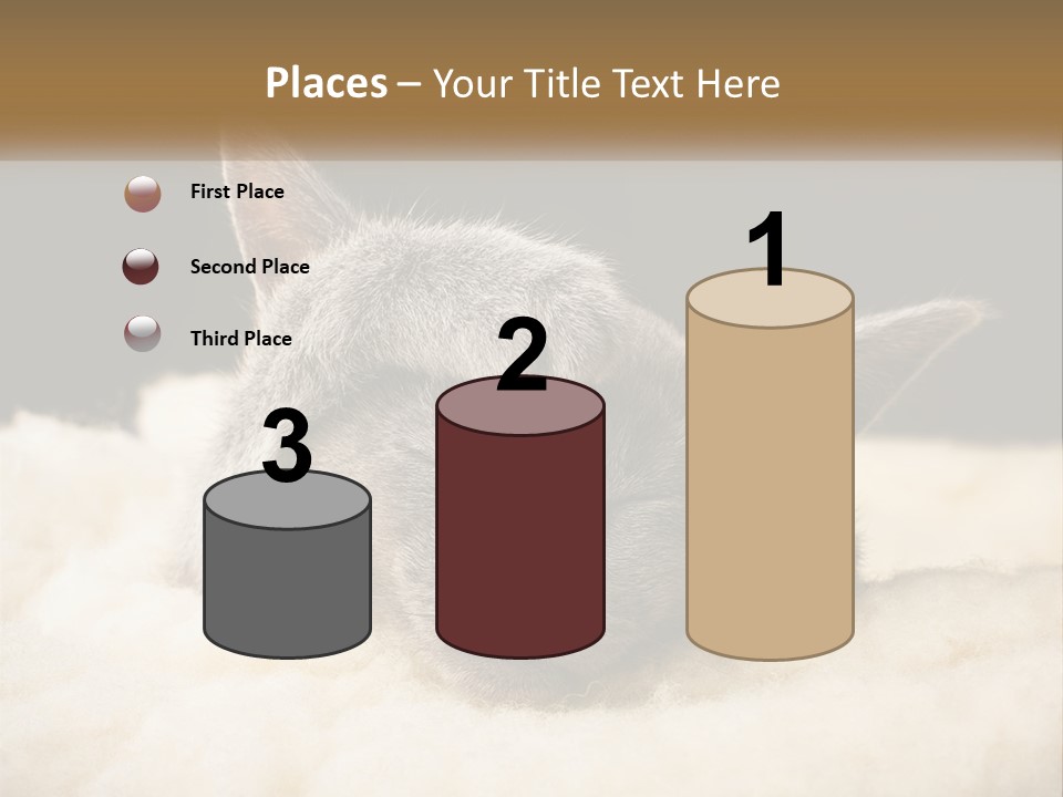 Sand Pensioner Sad PowerPoint Template