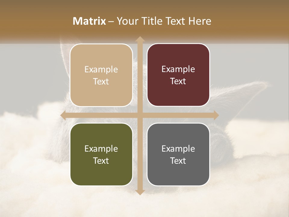 Sand Pensioner Sad PowerPoint Template