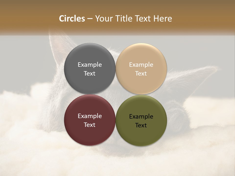 Sand Pensioner Sad PowerPoint Template