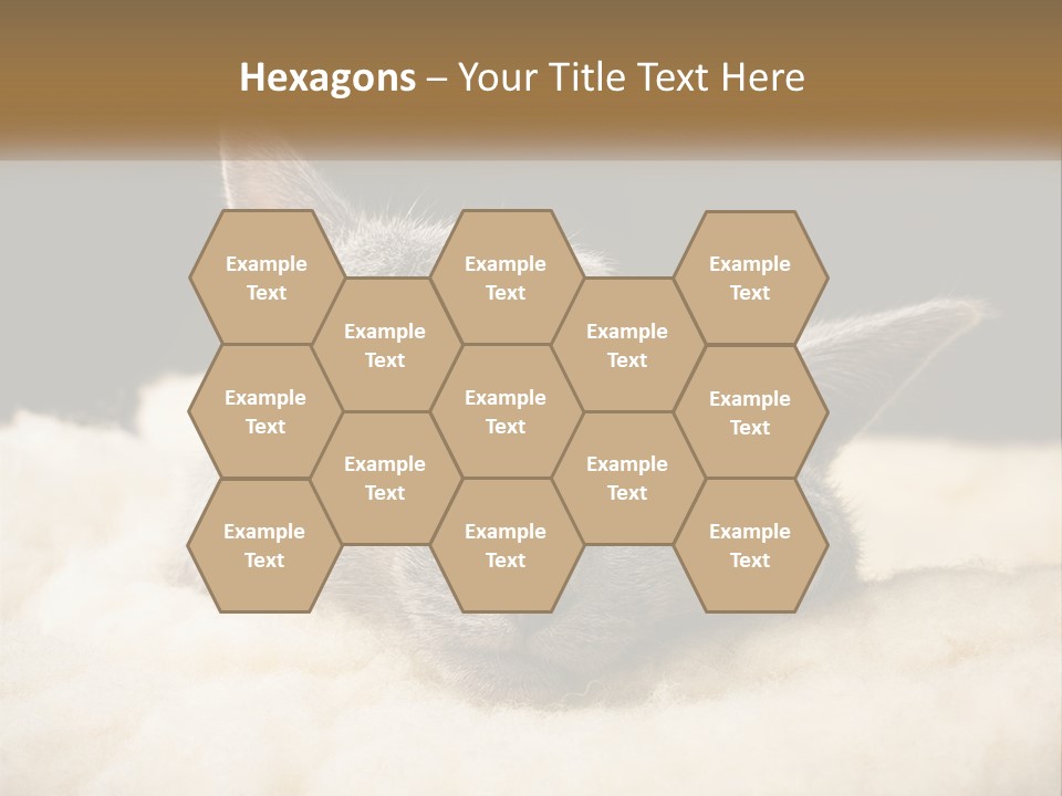 Sand Pensioner Sad PowerPoint Template