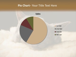 Sand Pensioner Sad PowerPoint Template