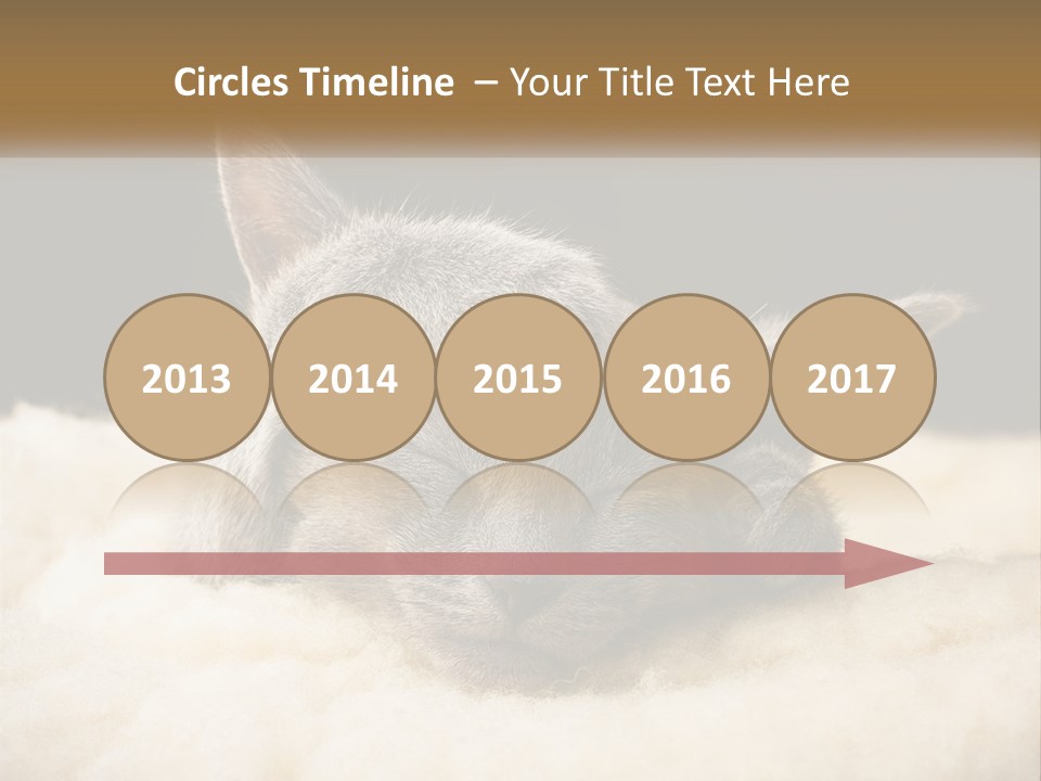 Sand Pensioner Sad PowerPoint Template