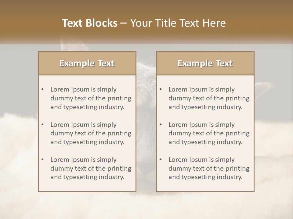 Sand Pensioner Sad PowerPoint Template