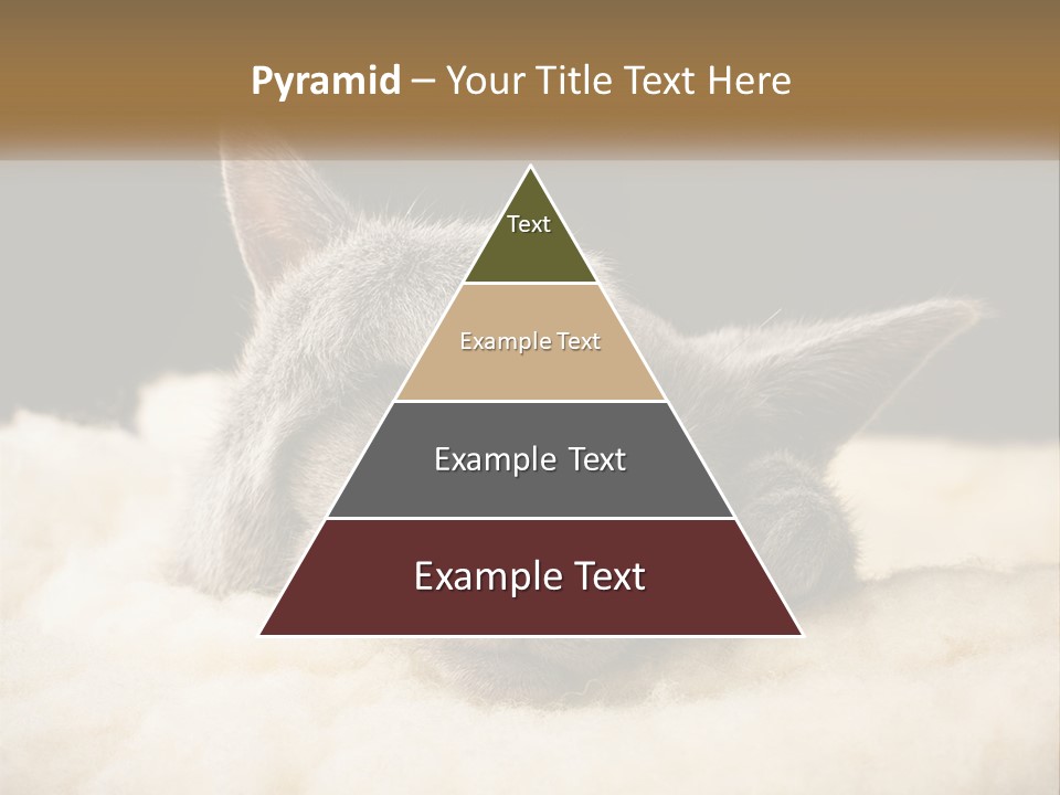 Sand Pensioner Sad PowerPoint Template