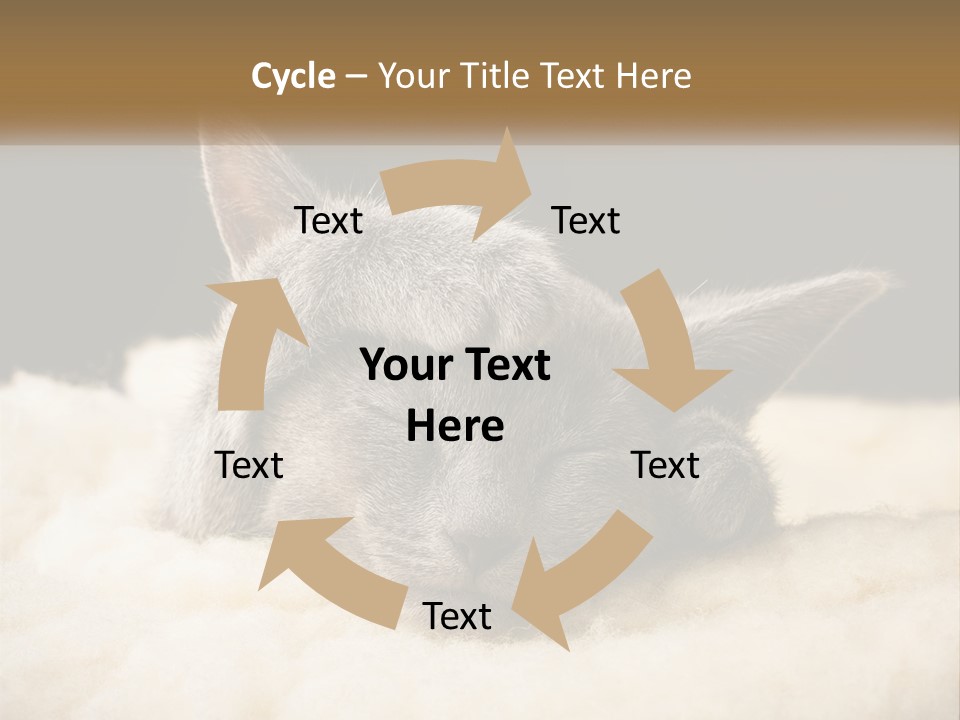 Sand Pensioner Sad PowerPoint Template