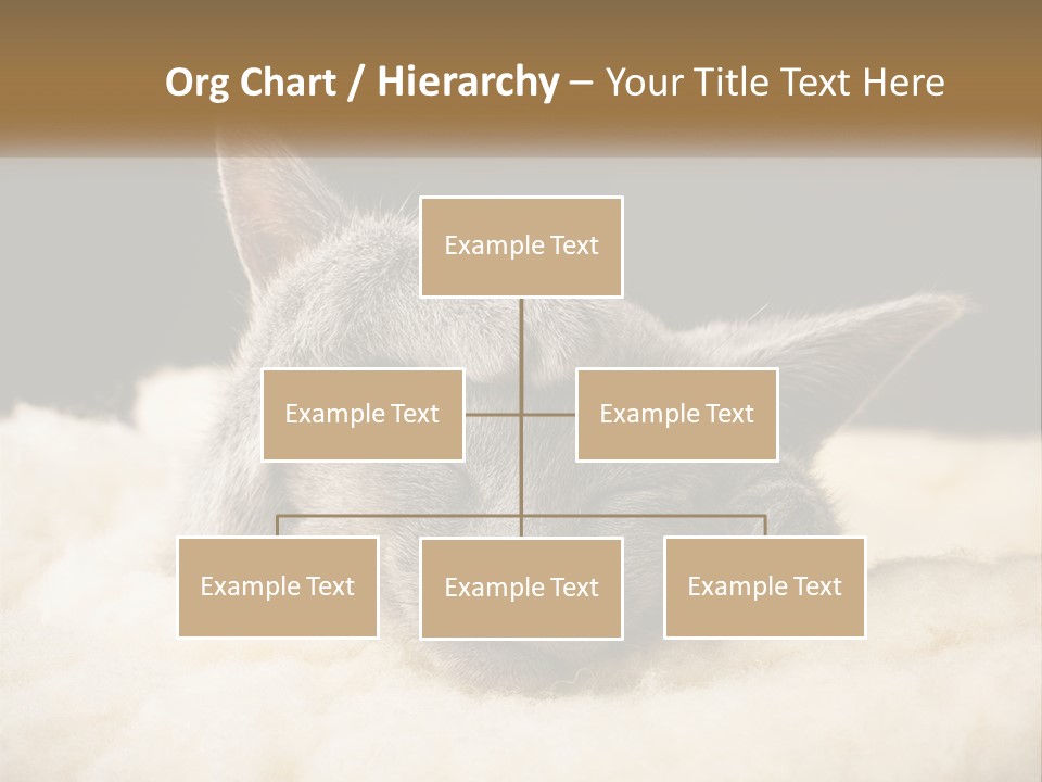 Sand Pensioner Sad PowerPoint Template
