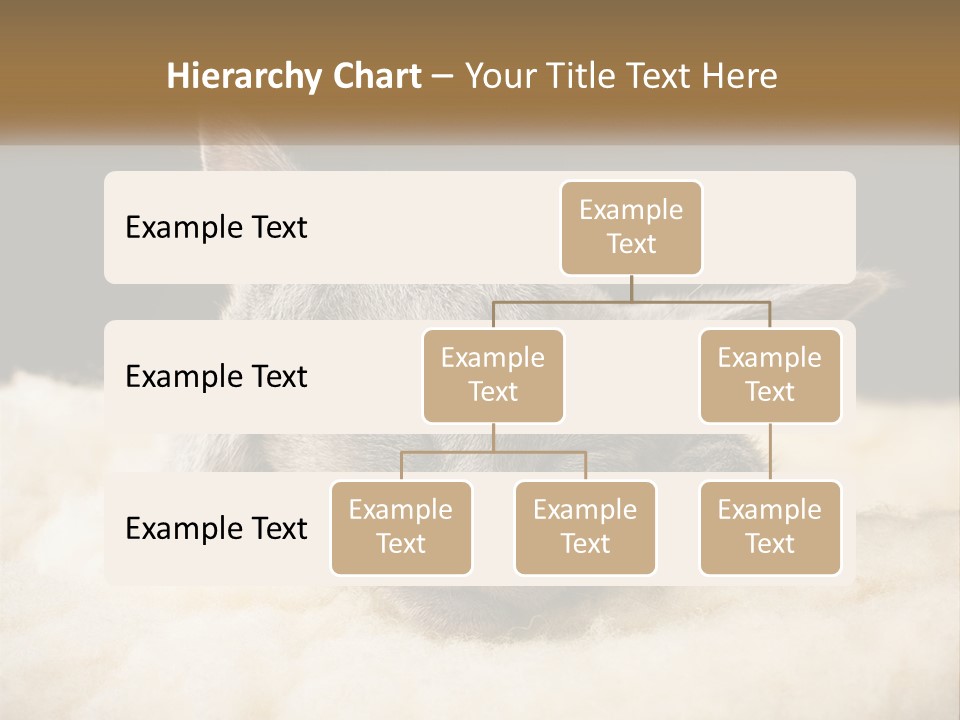 Sand Pensioner Sad PowerPoint Template