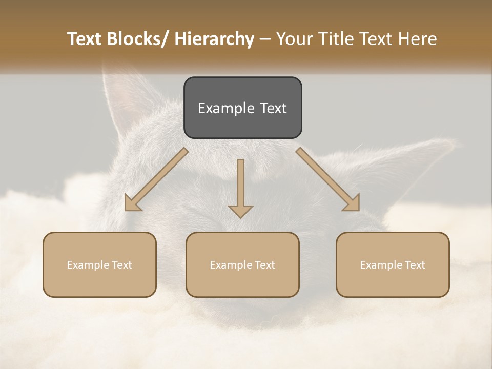 Sand Pensioner Sad PowerPoint Template