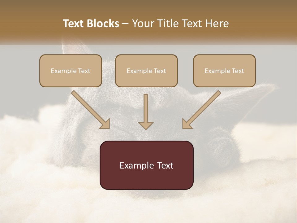 Sand Pensioner Sad PowerPoint Template