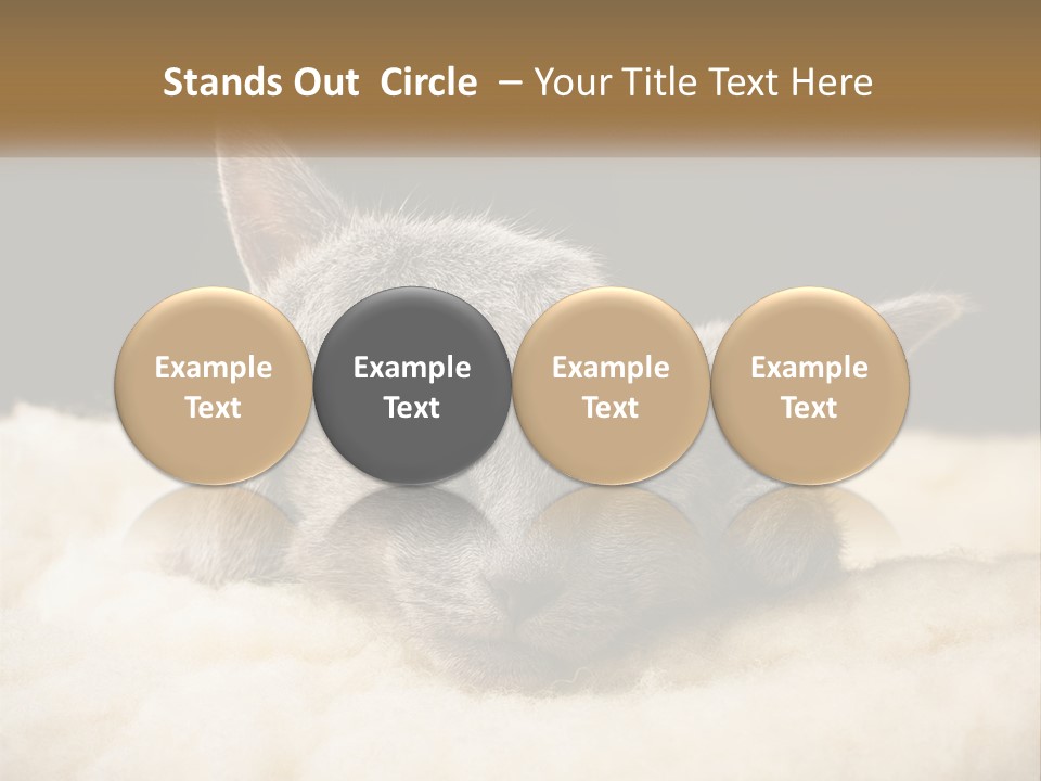 Sand Pensioner Sad PowerPoint Template