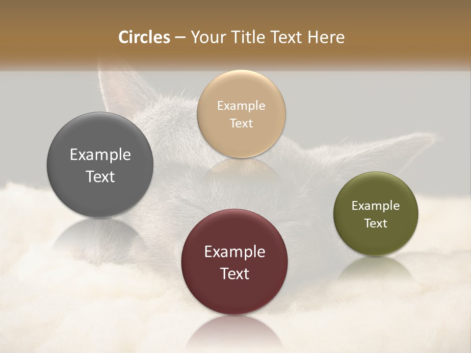 Sand Pensioner Sad PowerPoint Template