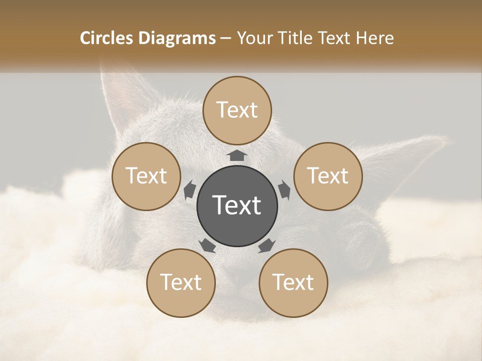 Sand Pensioner Sad PowerPoint Template