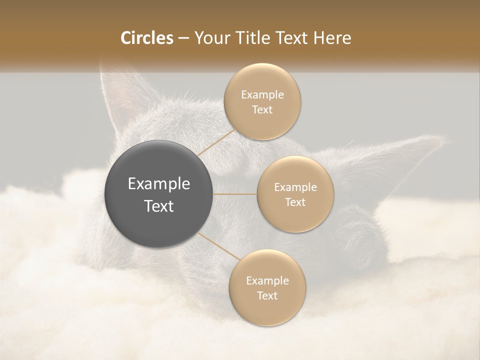 Sand Pensioner Sad PowerPoint Template