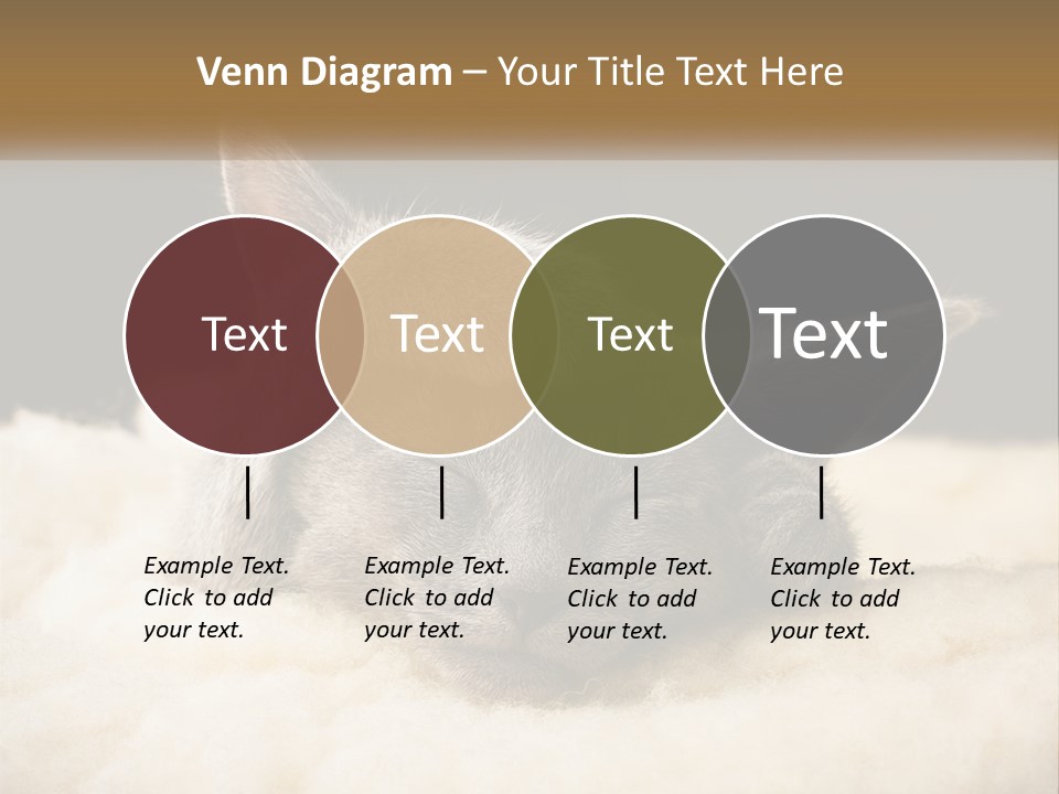 Sand Pensioner Sad PowerPoint Template