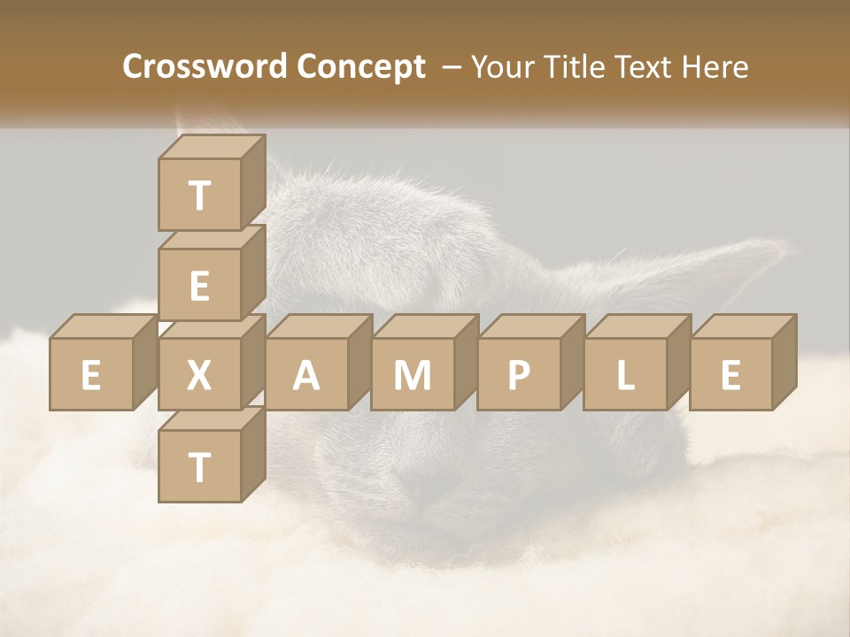 Sand Pensioner Sad PowerPoint Template