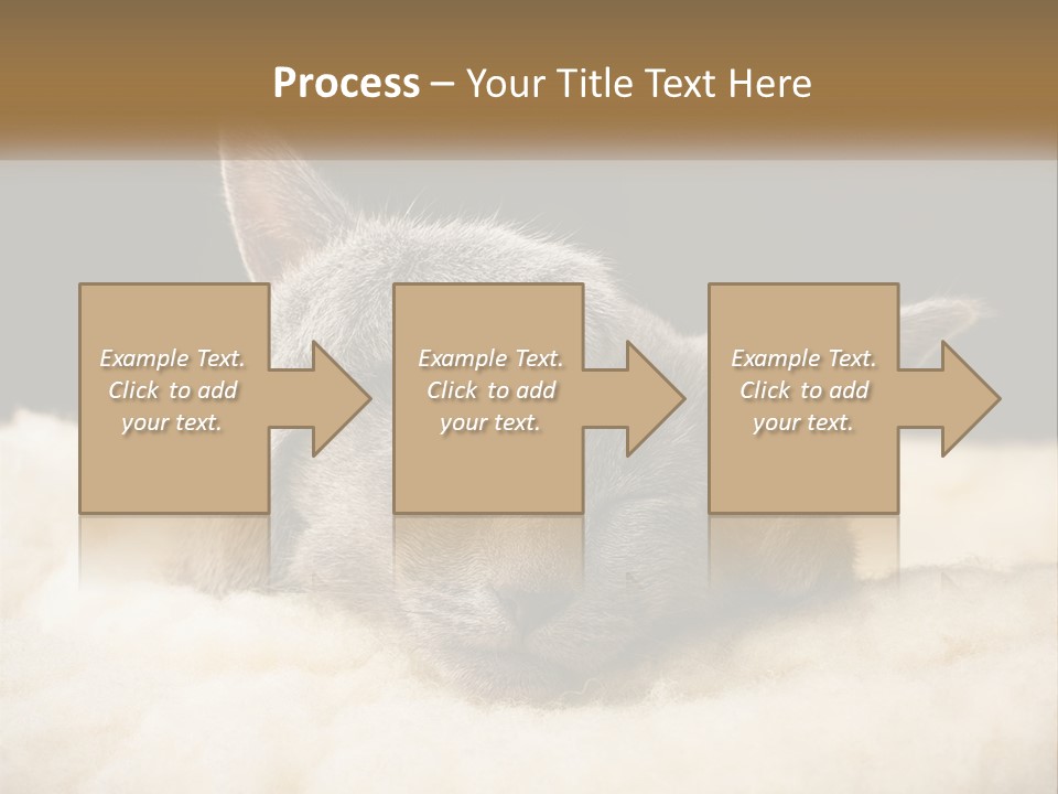 Sand Pensioner Sad PowerPoint Template