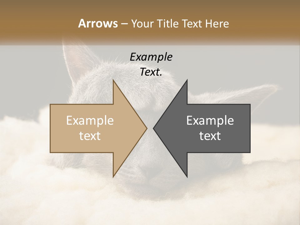 Sand Pensioner Sad PowerPoint Template