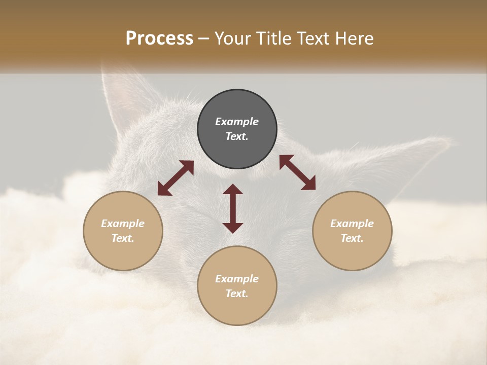 Sand Pensioner Sad PowerPoint Template