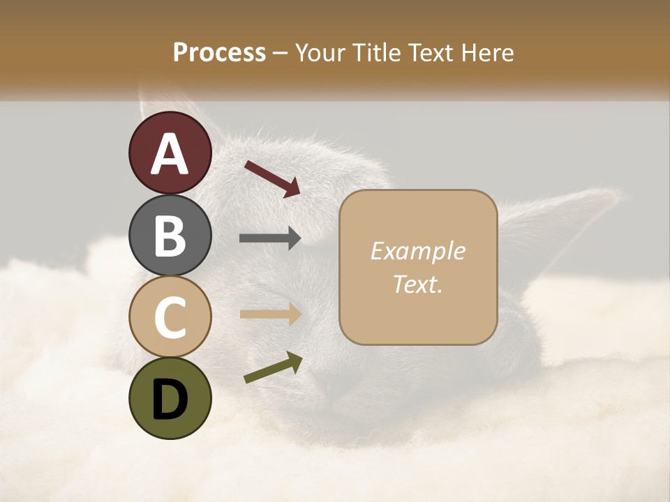 Sand Pensioner Sad PowerPoint Template
