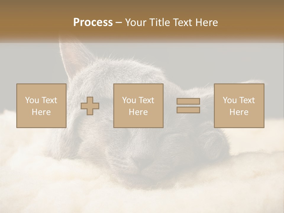 Sand Pensioner Sad PowerPoint Template