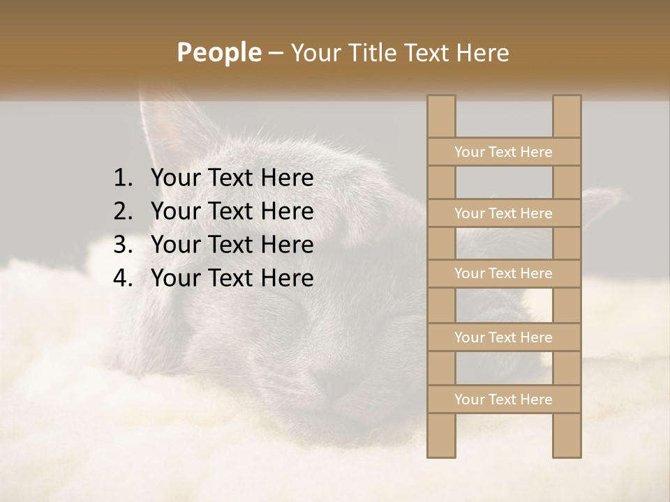 Sand Pensioner Sad PowerPoint Template