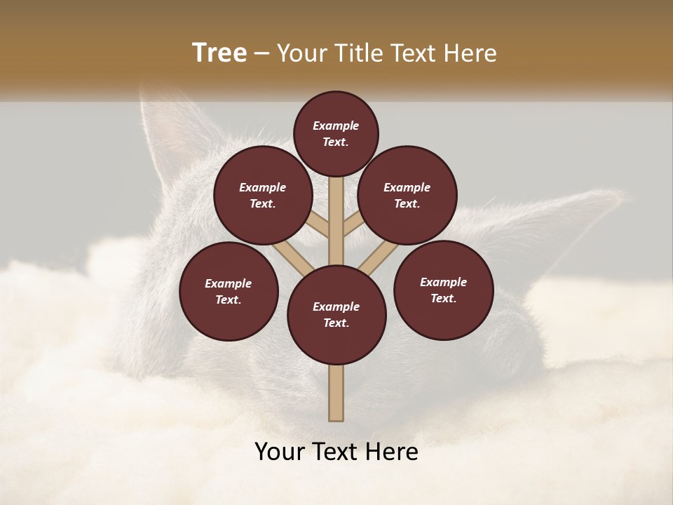 Sand Pensioner Sad PowerPoint Template