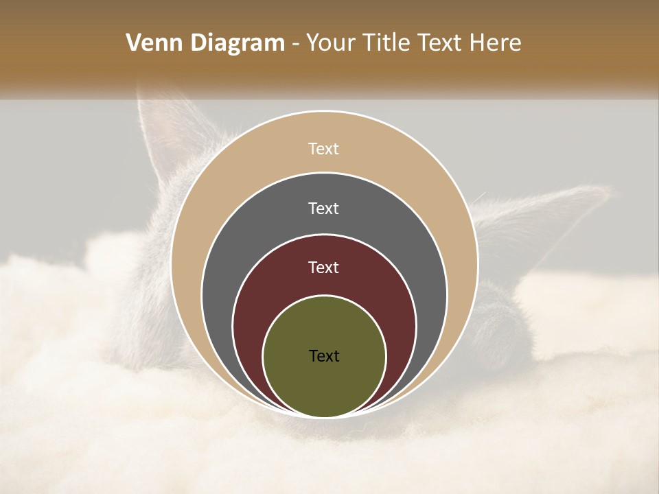 Sand Pensioner Sad PowerPoint Template