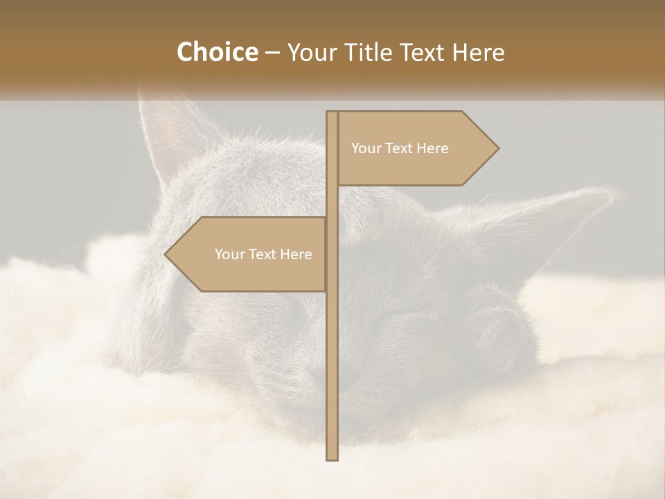 Sand Pensioner Sad PowerPoint Template