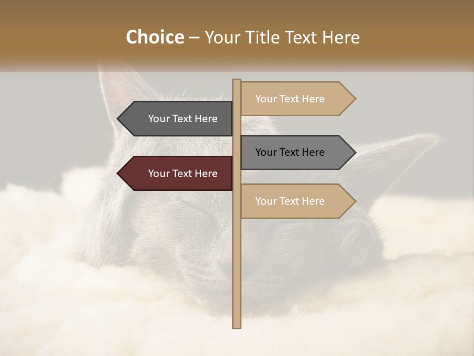 Sand Pensioner Sad PowerPoint Template