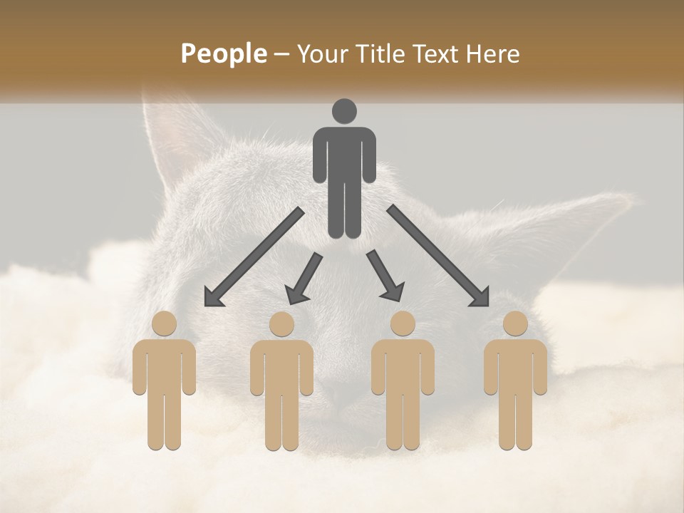 Sand Pensioner Sad PowerPoint Template