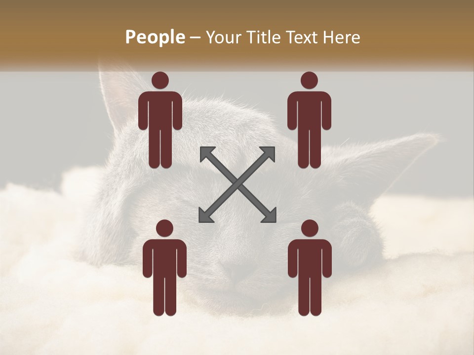 Sand Pensioner Sad PowerPoint Template