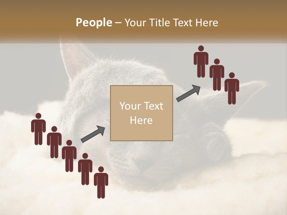 Sand Pensioner Sad PowerPoint Template