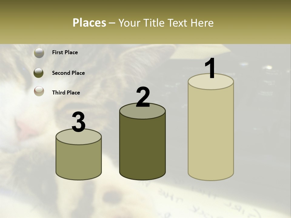 Coastal Sunset Pensioner PowerPoint Template