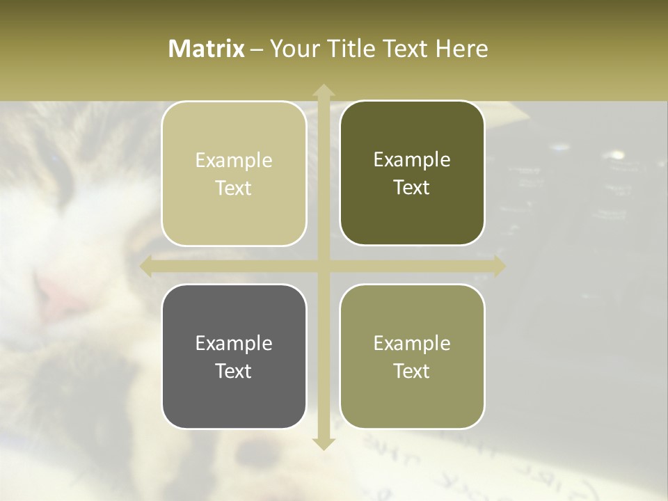 Coastal Sunset Pensioner PowerPoint Template