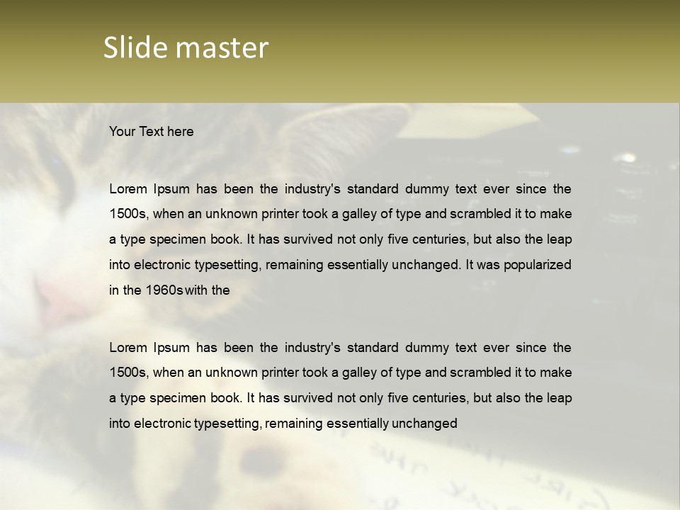 Coastal Sunset Pensioner PowerPoint Template