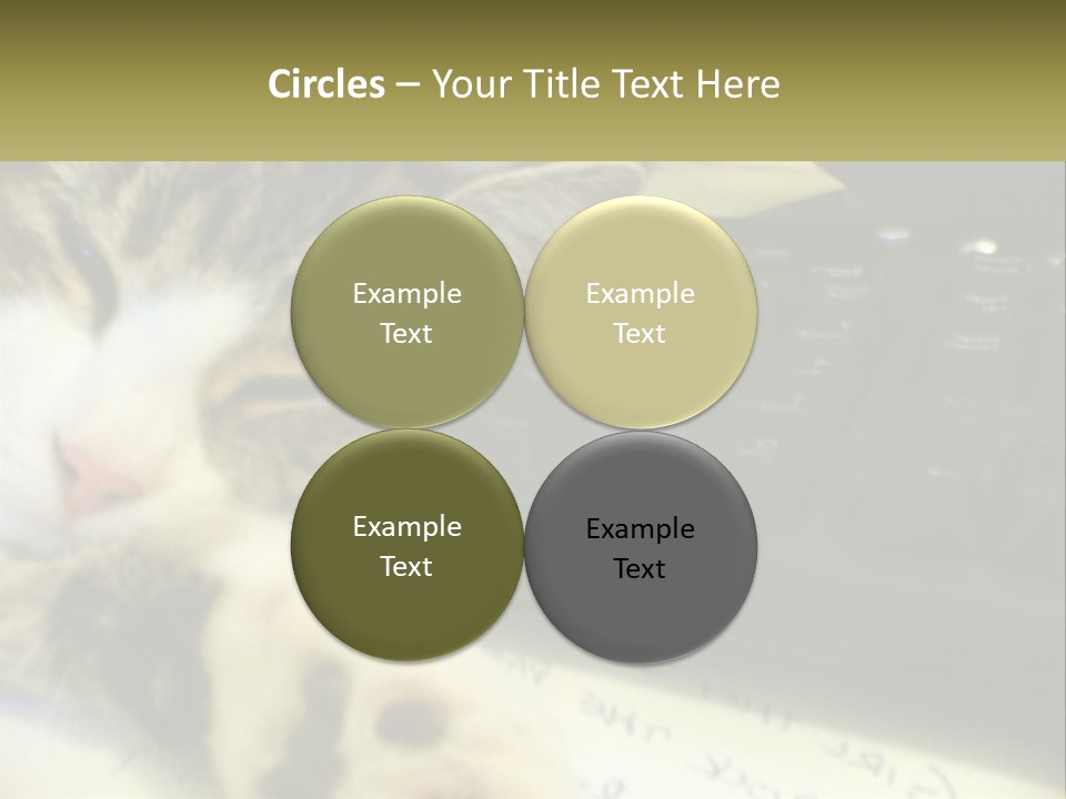 Coastal Sunset Pensioner PowerPoint Template