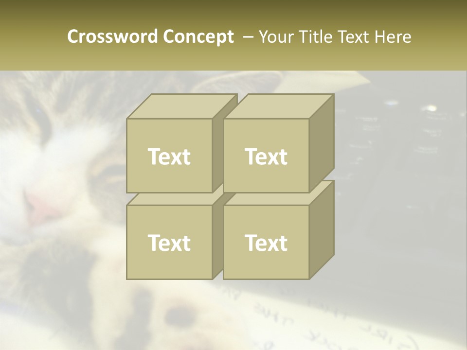 Coastal Sunset Pensioner PowerPoint Template