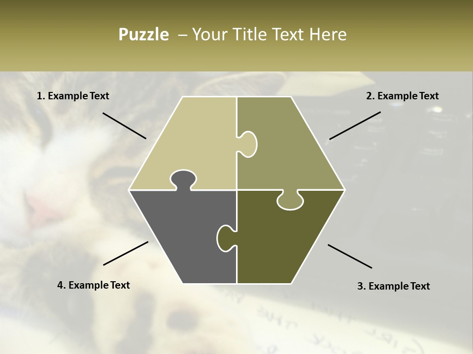 Coastal Sunset Pensioner PowerPoint Template