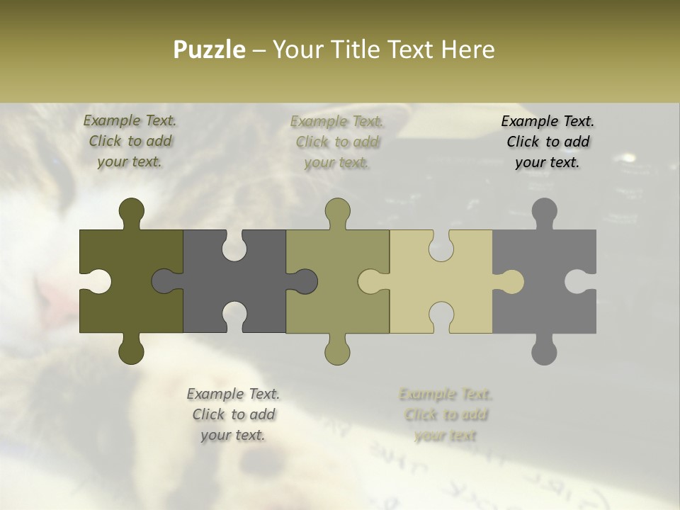 Coastal Sunset Pensioner PowerPoint Template