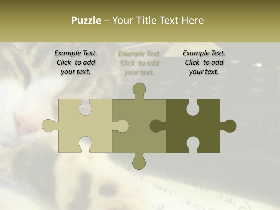 Coastal Sunset Pensioner PowerPoint Template