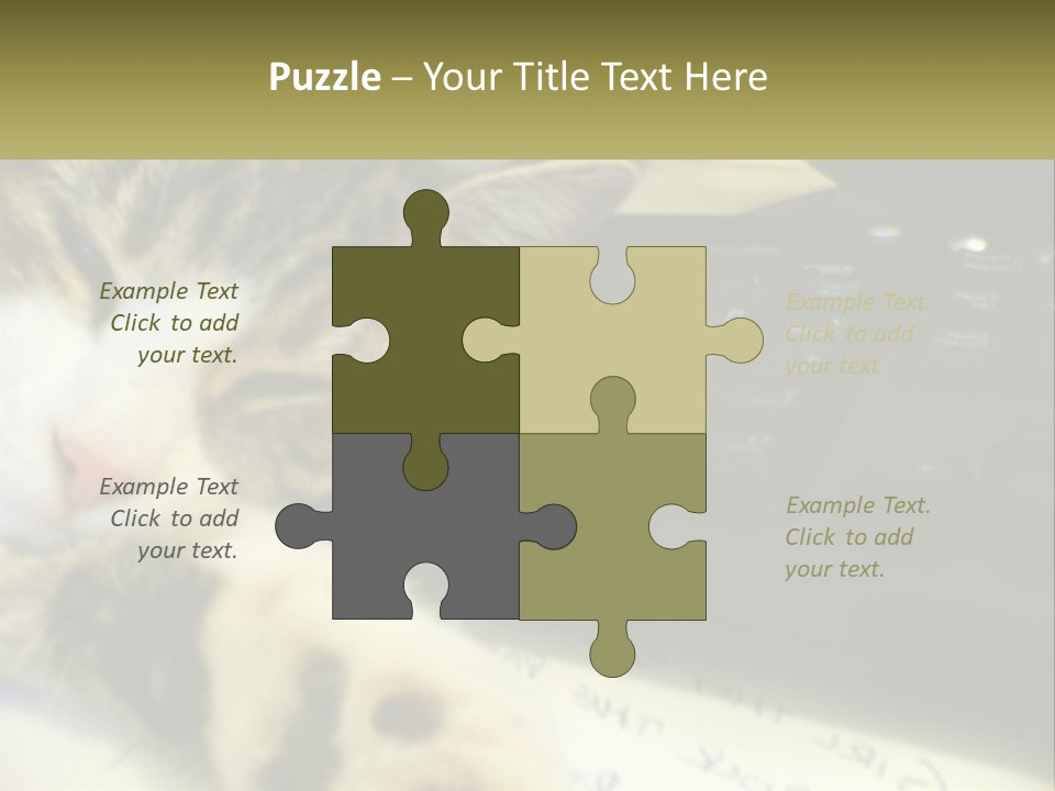 Coastal Sunset Pensioner PowerPoint Template