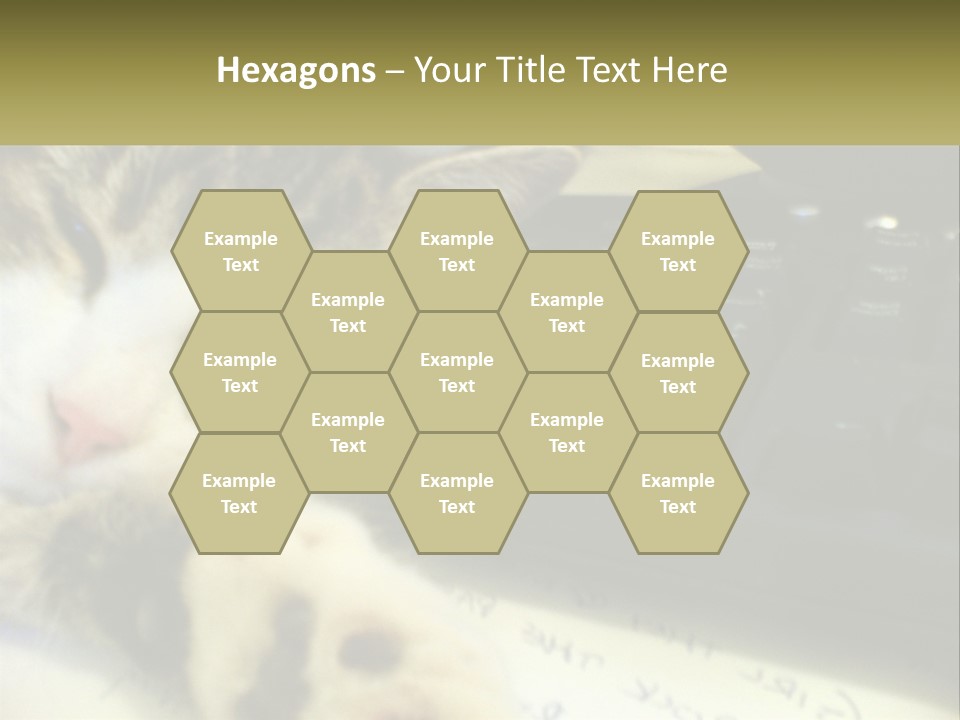 Coastal Sunset Pensioner PowerPoint Template