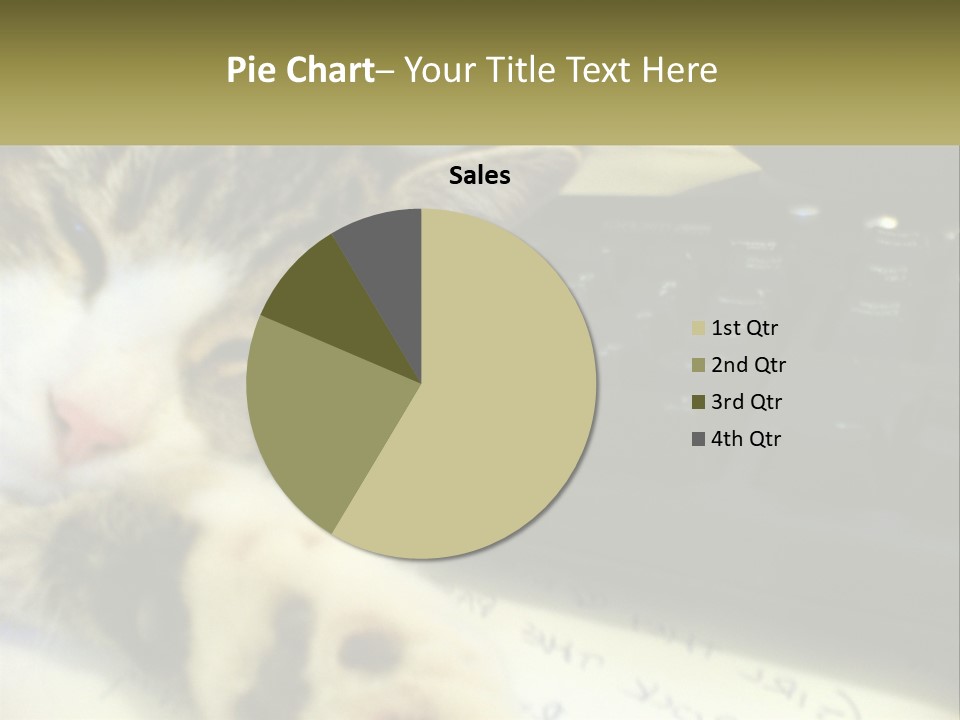 Coastal Sunset Pensioner PowerPoint Template