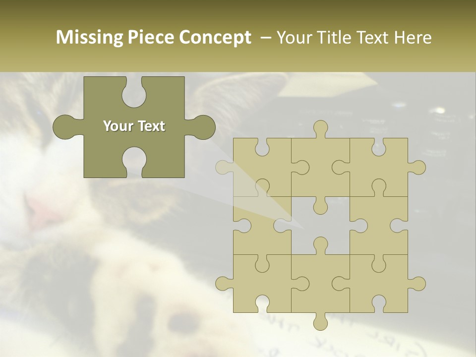 Coastal Sunset Pensioner PowerPoint Template