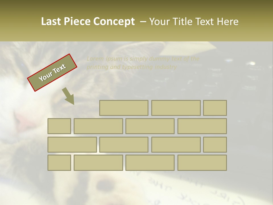 Coastal Sunset Pensioner PowerPoint Template