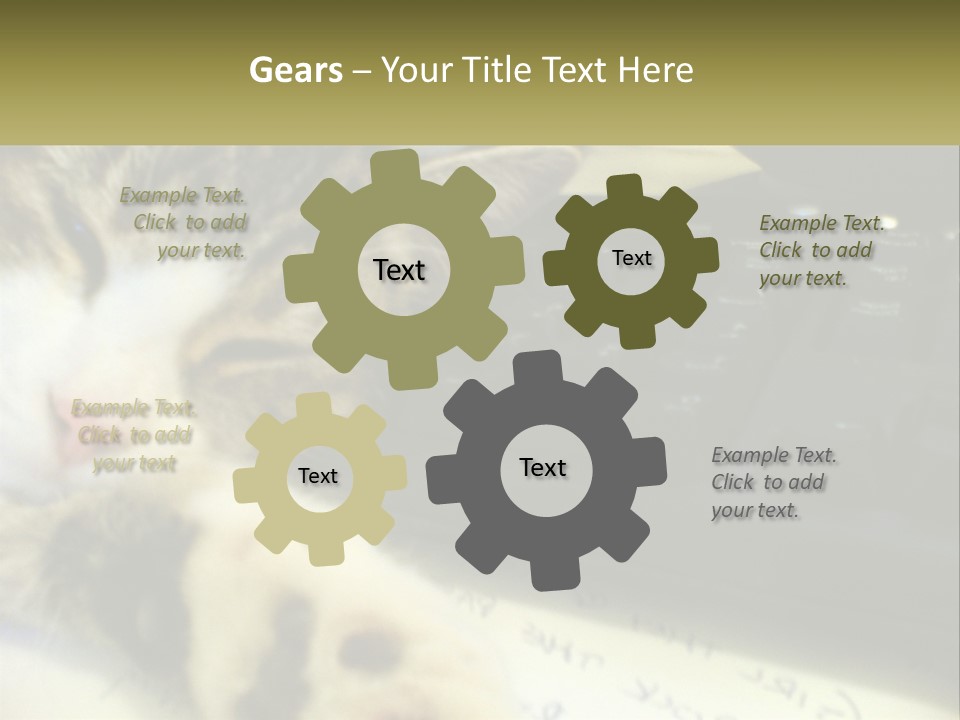 Coastal Sunset Pensioner PowerPoint Template