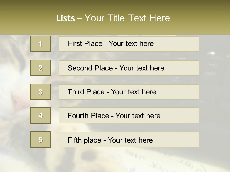 Coastal Sunset Pensioner PowerPoint Template