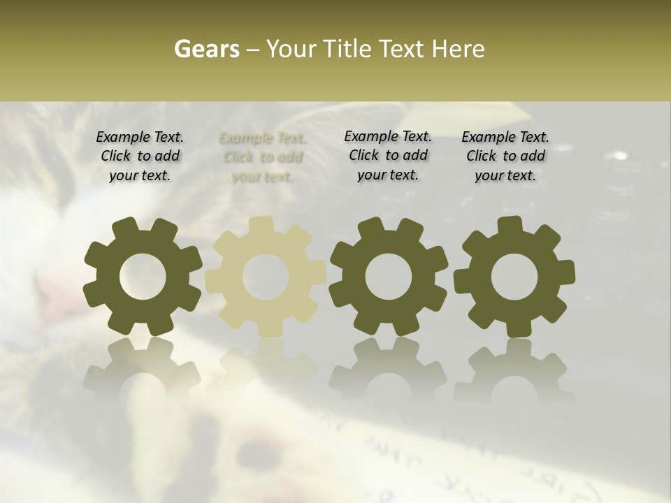 Coastal Sunset Pensioner PowerPoint Template