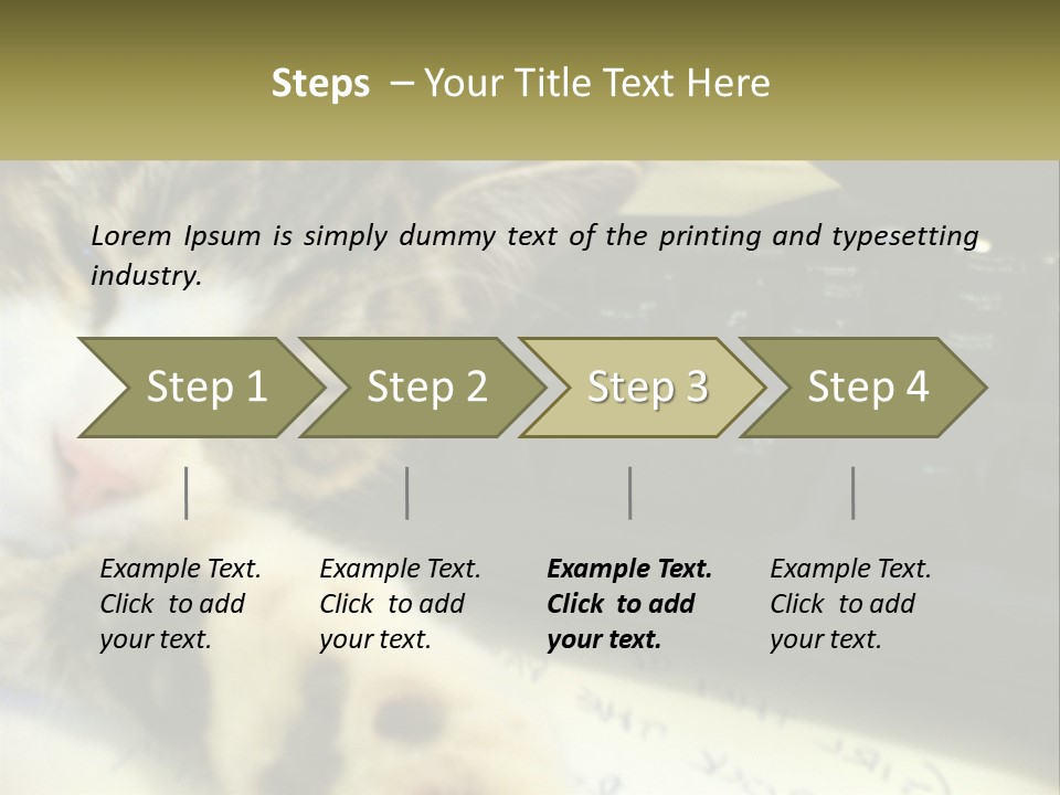 Coastal Sunset Pensioner PowerPoint Template
