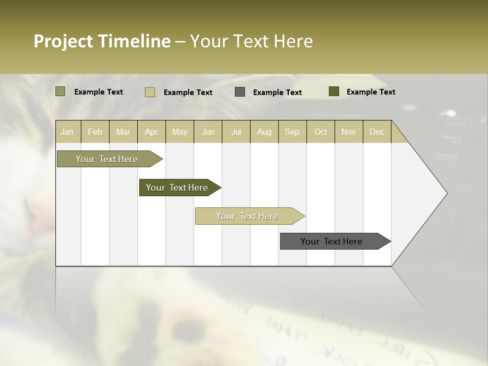 Coastal Sunset Pensioner PowerPoint Template
